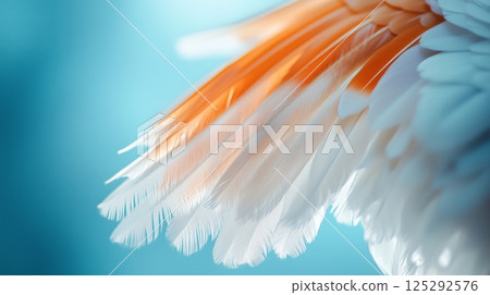 A close-up of a bird's feathers on a blue background 125292576
