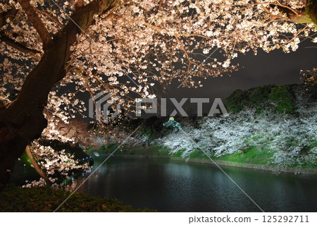 Night cherry blossoms at Chidorigafuchi, Tokyo 125292711