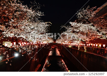 Cherry blossoms at night on Meguro River, Tokyo 125292897