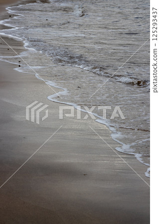 Sand beach and a line of the tide, Gran Canaria, Spain 125293437
