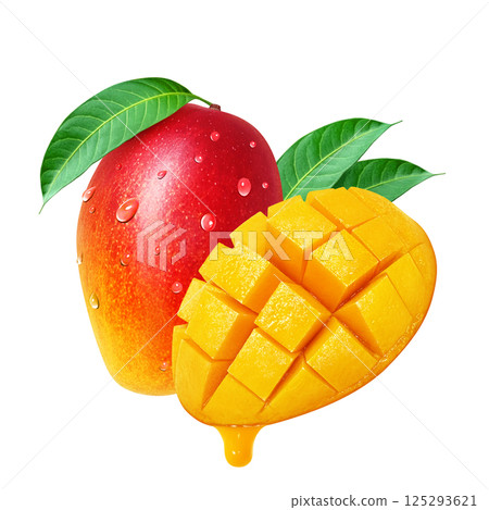 Mango illustration realistic white background Mango illustration realistic white background 125293621