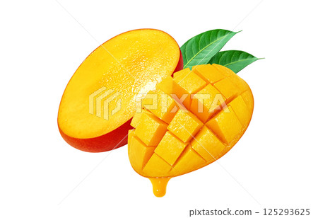 Mango illustration realistic white background 125293625