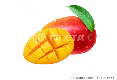 Mango illustration realistic white background 125293631