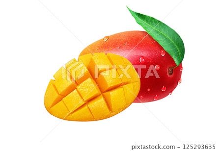 Mango illustration realistic white background 125293635