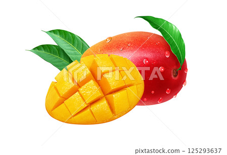 Mango illustration realistic white background 125293637