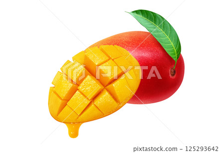 芒果插圖逼真的白色背景 125293642