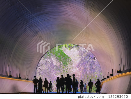 Going through the rainbow-colored tunnel 125293650