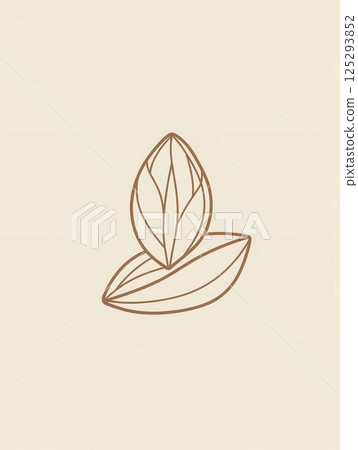 Minimalist nut logo featuring modern abstract line art of almond and walnut with elegant design 125293852