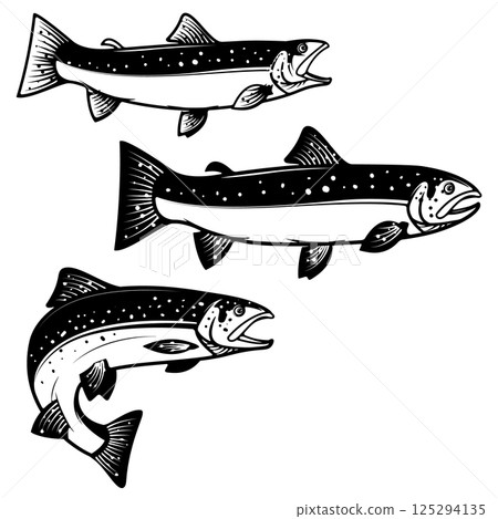Set of trout silhouettes. Design element for logo, label, emblem, sign, brand mark for fishing camp or team. Vector illustration. Set of trout silhouettes. Design element for logo, label, emblem, sign, brand mark for fishing camp or team. Vector illustration. 125294135