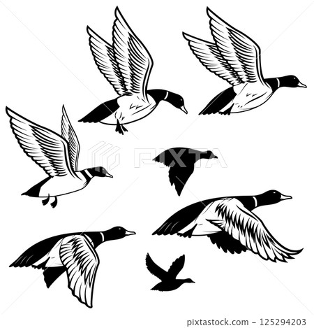 Set of flying wild ducks. Duck hunting. 125294203