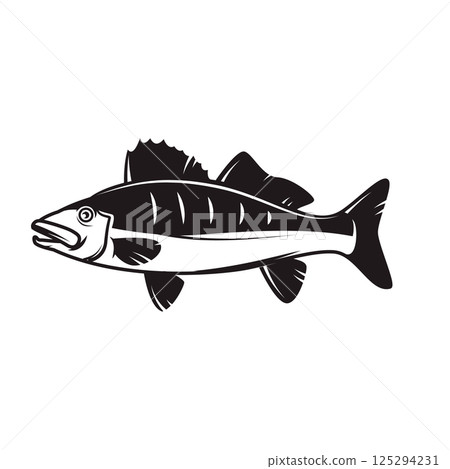 Illustration of pikeperch fish. Design elements 125294231