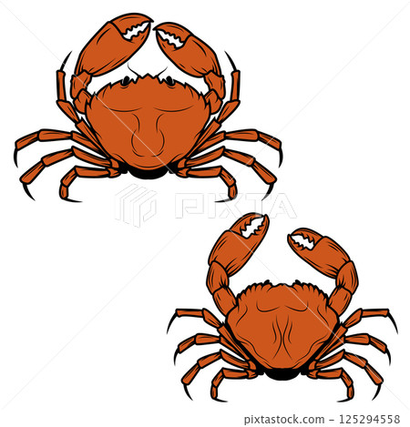 Set of the crabs icons in vector. Crab label. Crabs icons isolated on white background. Vector design element. Set of the crabs icons in vector. Crab label. Crabs icons isolated on white background. Vector design element. 125294558