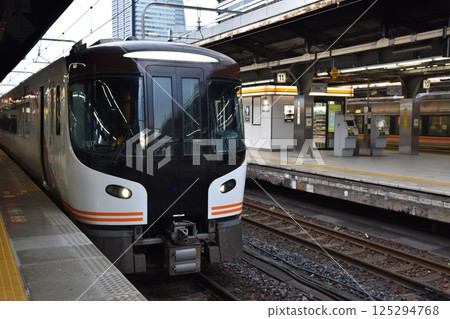 Limited Express Nanki at Nagoya Station, Aichi 125294768