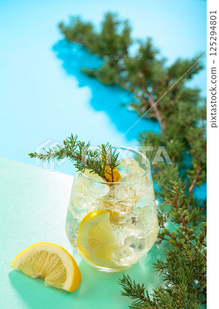 Gin and tonic cocktail with crushed ice and lemon slices. Gin and tonic cocktail with crushed ice and lemon slices. 125294801