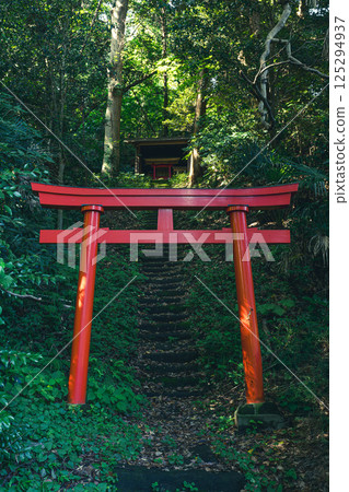 The approach to Shimoyamaguchi Inari Shrine is surrounded by greenery 125294937