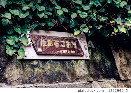 葉山的靜謐石板路 葉山的靜謐石板路 125294945