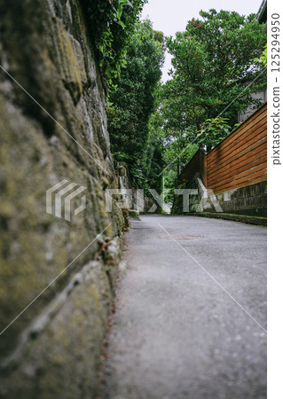 Scenery of Sajima Stone Path surrounded by greenery 125294950