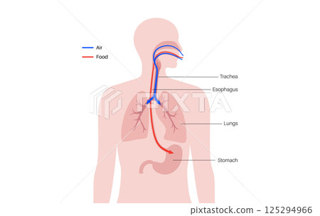 Consumption system poster 125294966
