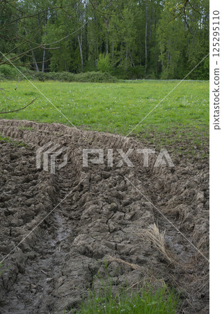 Rainwater creates visible tire tracks at the entrance of an agricultural field surrounded by lush 125295110