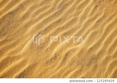 Sand closeup surface for nature, landscape or summer travel theme design. Fine sand texture background for outdoor, eco and minimalist projects Sand closeup surface for nature, landscape or summer travel theme design. Fine sand texture background for outdoor, eco and minimalist projects 125295429