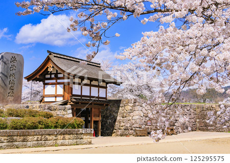 長野縣松代城遺址櫻花盛開 125295575