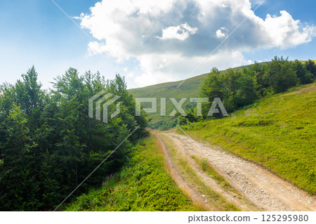 country gravel road through highlands. travel transcarpathia region of ukraine in summer. hiking trail. path uphill borzhava ridge. alpine scenery in dappled light country gravel road through highlands. travel transcarpathia region of ukraine in summer. hiking trail. path uphill borzhava ridge. alpine scenery in dappled light 125295980
