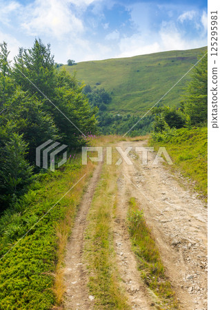 country gravel road through highlands. travel transcarpathia region of ukraine in summer. carpathian outdoor background. path uphill borzhava ridge. alpine scenery in dappled light country gravel road through highlands. travel transcarpathia region of ukraine in summer. carpathian outdoor background. path uphill borzhava ridge. alpine scenery in dappled light 125295981