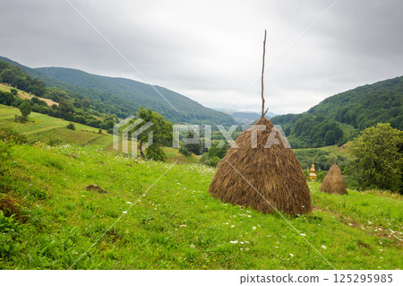 haystack on the grassy hillside. rural field in mountainous area in summer. village in the distant valley. moody countryside landscape ukraine on overcast day. organic pasture haystack on the grassy hillside. rural field in mountainous area in summer. village in the distant valley. moody countryside landscape ukraine on overcast day. organic pasture 125295985