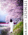 A woman visiting Kawazu cherry blossoms in early spring 125296121