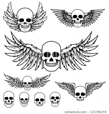 Set of the winged skulls.  Design element for t-shirt print, poster, sticker. 125296259