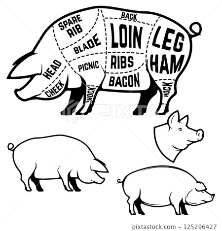 Butcher diagram, scheme and guide - Pork cuts. Set of pig silhouettes isolated on white background Butcher diagram, scheme and guide - Pork cuts. Set of pig silhouettes isolated on white background 125296427