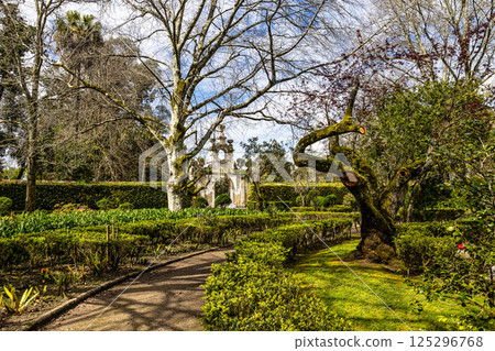 The Botanical Garden of the University of Coimbra in Portugal. The garden was founded in the 18th century 125296768