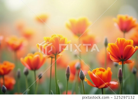 Glistening orange blossoms gently sway in the breeze, surrounded by a field of green. The soft focus creates an ethereal ambiance perfect for relaxation and reflection Generative AI 125297132