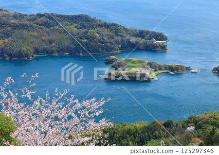 [Ehime Prefecture] Cherry blossoms in full bloom, Noshima and Ushima 125297346