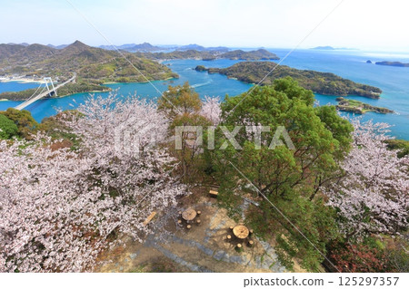 【愛媛縣】櫻花盛開,博多大島橋(島波海道) 【愛媛縣】櫻花盛開,博多大島橋(島波海道) 125297357