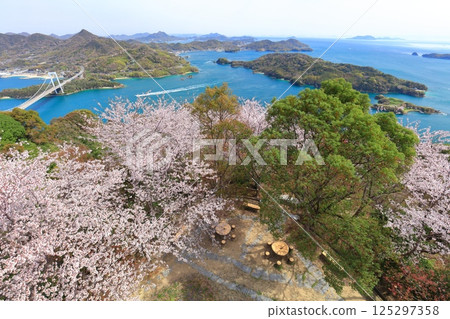 [Ehime Prefecture] Cherry blossoms in full bloom and a view of Hakata Oshima Bridge (Shimanami Kaido) 125297358
