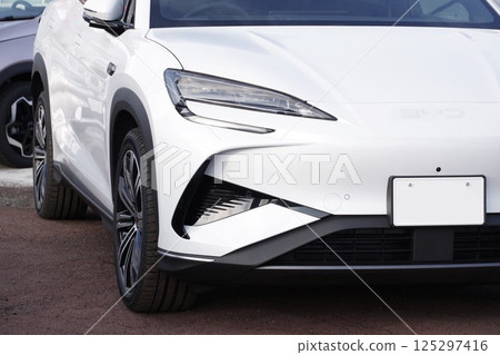 Imported car: Chinese electric car, BYD Sea Lion 7 front mask 125297416