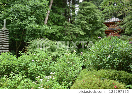 Gansenji Temple: Three-story Pagoda and Thirteen-story Stone Pagoda [Important Cultural Property] 125297525