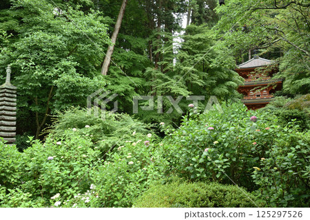 源泉寺：三重塔與十三層石塔[重要文化財產] 125297526
