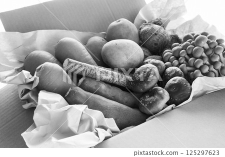 秋季蔬菜和水果合同農民交付到農場直接交付秋季的季節性味道 125297623