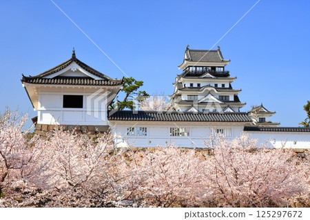 [廣島縣] 春天的櫻花盛開的福山城（重建後）福山城櫻花節 125297672