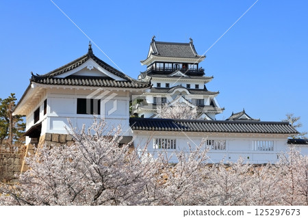 [廣島縣] 春天的櫻花盛開的福山城（重建後）福山城櫻花節 125297673