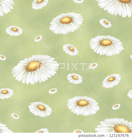 Wildflowers chamomile. Seamless floral watercolor pattern on green background. Hand drawn sketch meadow yellow-white flowers for fabric print, textile and packaging. Endlessly repeating ornament Wildflowers chamomile. Seamless floral watercolor pattern on green background. Hand drawn sketch meadow yellow-white flowers for fabric print, textile and packaging. Endlessly repeating ornament 125297676