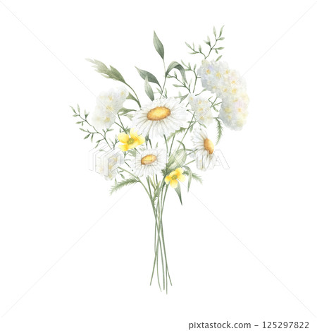 Bouquet floral of watercolor wildflowers chamomile, yarrow, buttercup and meadow grasses isolated from background. Hand drawn illustration of yellow and white flowers for fabric, packaging, postcard 125297822