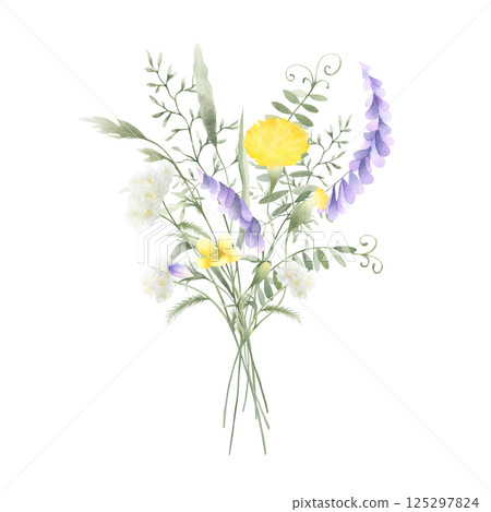 Bouquet of watercolor wildflowers mouse pea, dandelion, buttercup, yarrow and meadow grasses. Hand drawn isolated illustration of yellow, lilac and white flowers for fabric, postcards and stickers 125297824