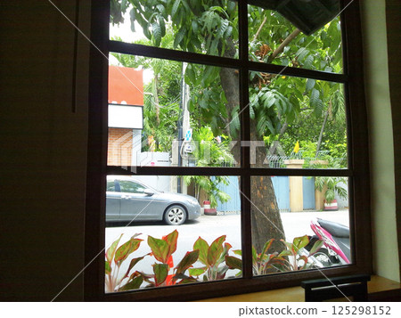 An outdoor view of trees and palm plants seen from a cafe window in Bangkok, Thailand, with soft light streaming in for a subtropical atmosphere An outdoor view of trees and palm plants seen from a cafe window in Bangkok, Thailand, with soft light streaming in for a subtropical atmosphere 125298152