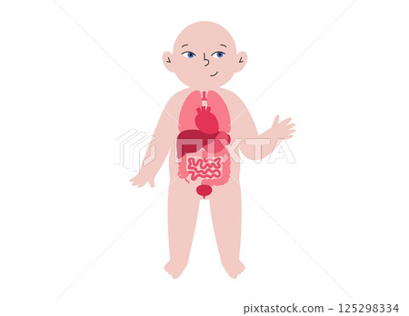Internal organs of the child 125298334