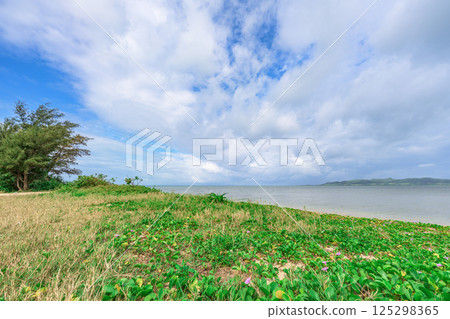 Ishigaki Island's beaches are surrounded by the sounds of calm waves and pretty flowers. Ishigaki Island's beaches are surrounded by the sounds of calm waves and pretty flowers. 125298365