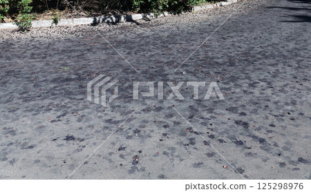 Mulberry mulberry berries crushed on asphalt Mulberry mulberry berries crushed on asphalt 125298976