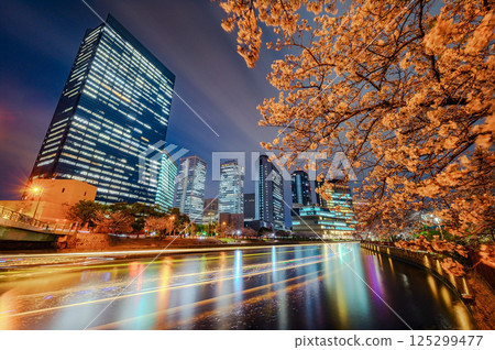 Illuminated cherry blossoms at night 125299477